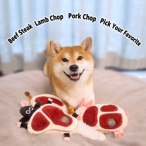 Squeaky Crinkle Meat Snuffle Dog Toy