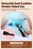 2-in-1 Pet Car Booster Seat & Carrier Bag