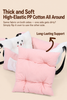 2-in-1 Pet Car Booster Seat & Carrier Bag