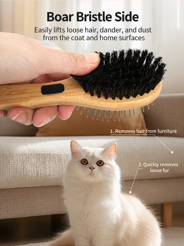 Double-Sided Pin & Bristle Pet Grooming Brush