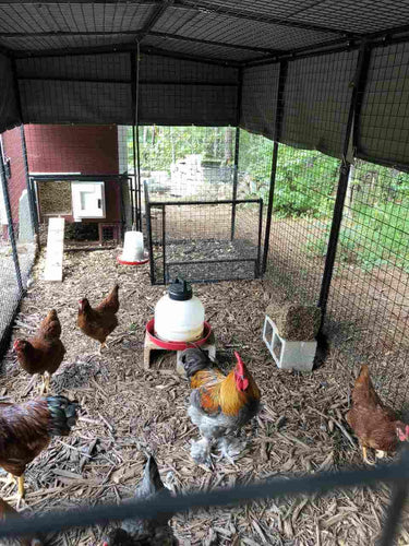 Walk-In 15 ft. Chicken Run (6'6W x 15'L x 6'3H)
