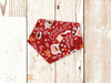 Christmas Hot Chocolate Dog Bandana