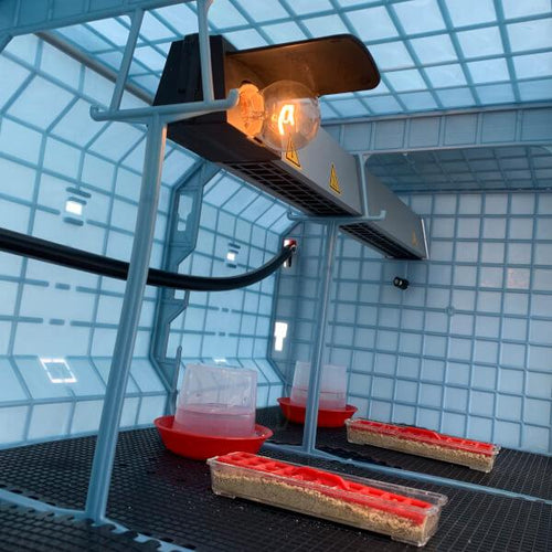 Chick Brooder - Automatic Heater - HT03E