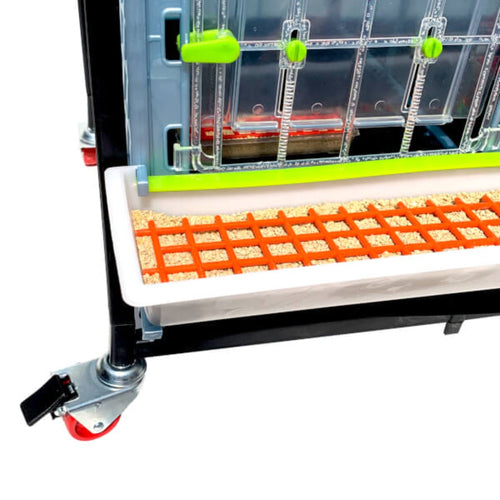 Chick Brooder - 4 Layer H: 15