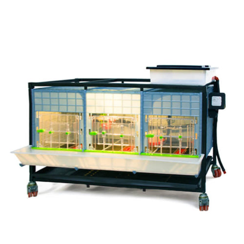 Chick Brooder - 1 Layer H: 15