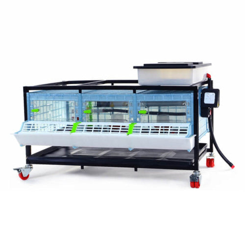 Chick Brooder - 1 Layer H: 9.5