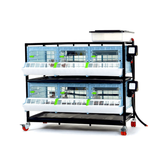 Chick Brooder - 2 Layer H: 9.5