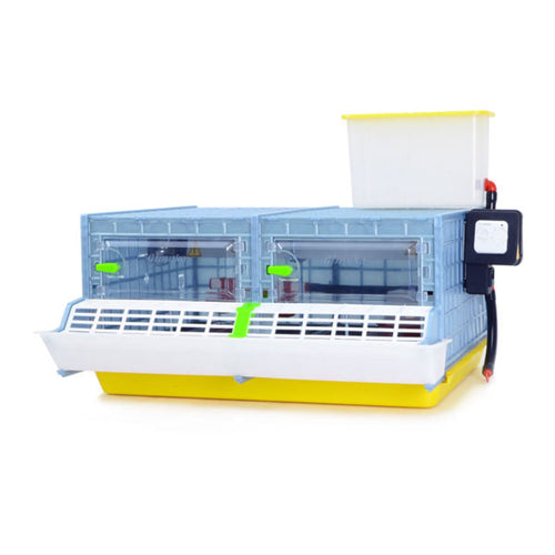 Chick Brooder - 2 Section H:9.5 (Starter Kit for Game Birds and Small Chicken Breeds)