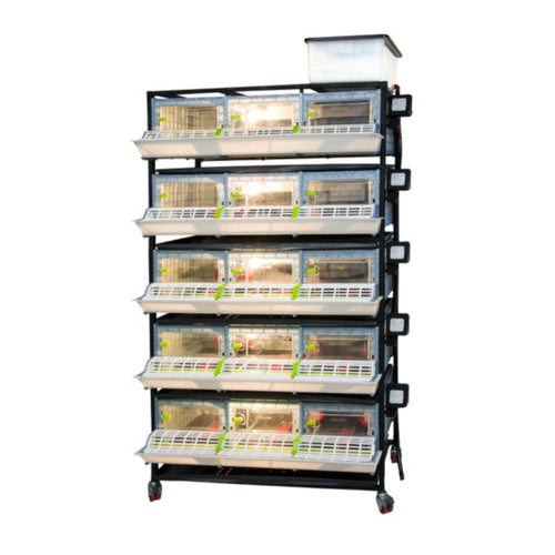 Chick Brooder - 5 Layer H: 9.5