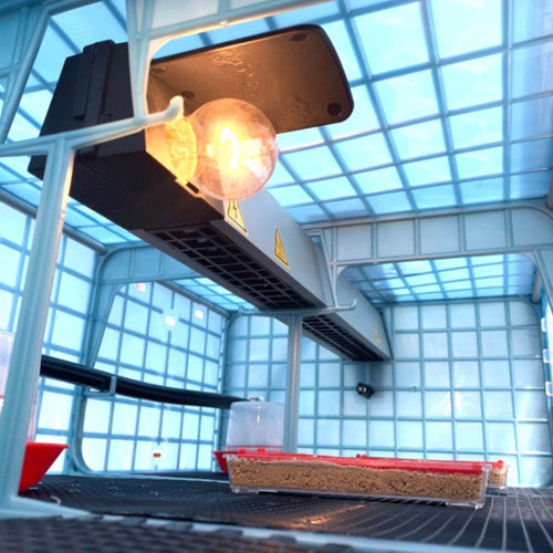 Chick Brooder - 4 Layer H: 9.5