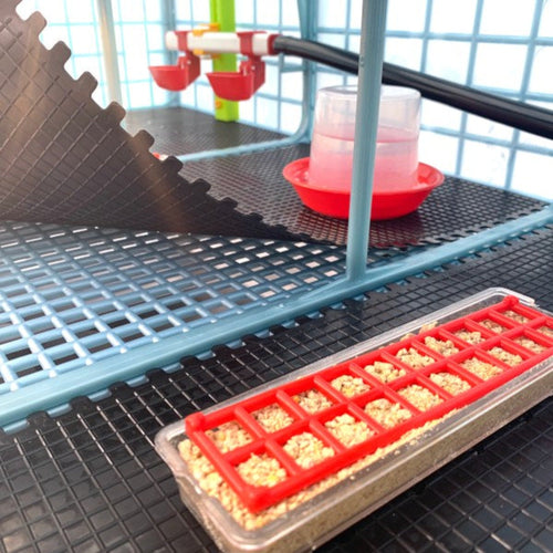 Chick Brooder - 3 Layer H: 9.5