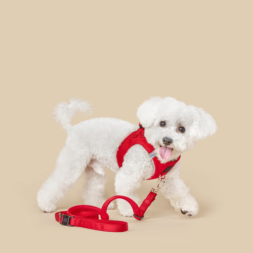 3-in-1 City Dog Leash - Iconic Red