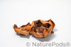 Coco Flowers (Dried Palm Caps)