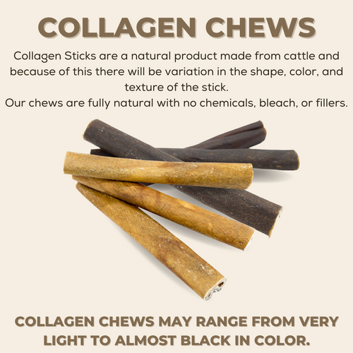 10-12 Inch Braided Collagen Stick