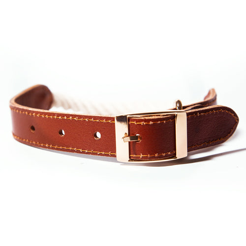 White Rope and Leather Collar - Glow Pups