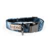 Constellation Astrological Star Chart Buckle & Martingale Dog Collar