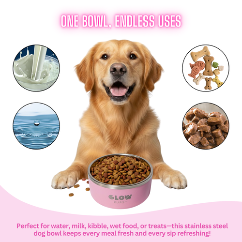 Aqua Blue Stainless Steel Dog Bowl 32oz & 64oz - Glow Pups