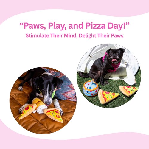 Pizza Squeaky Dog Toy 2 Packs - Glow Pups