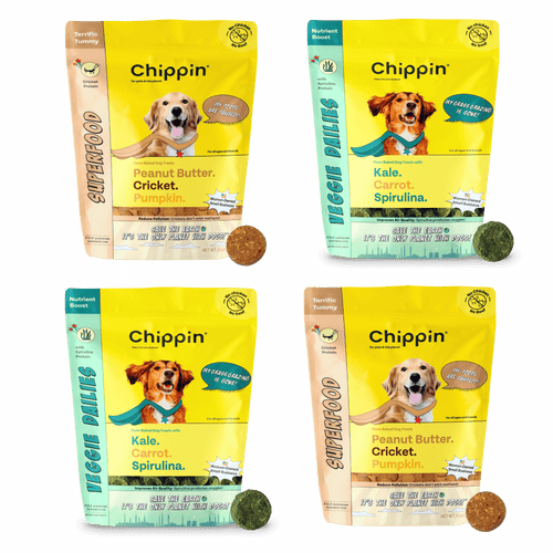 Crunchy Dog Biscuit Variety Bundle, 4-Pack