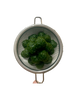 Large moss ball rolling tool kit