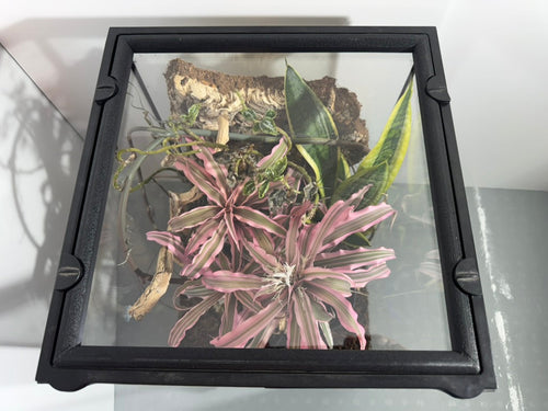 EncloSure™ Replacement Lid for Exo Terra Natural Terrarium 12″ × 12″