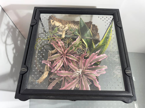 EncloSure™ Replacement Lid for Exo Terra Natural Terrarium 12″ × 12″