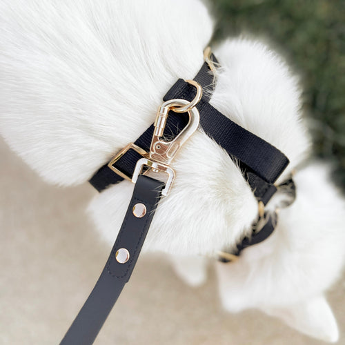 Elise Harness & Leash Set - Noir