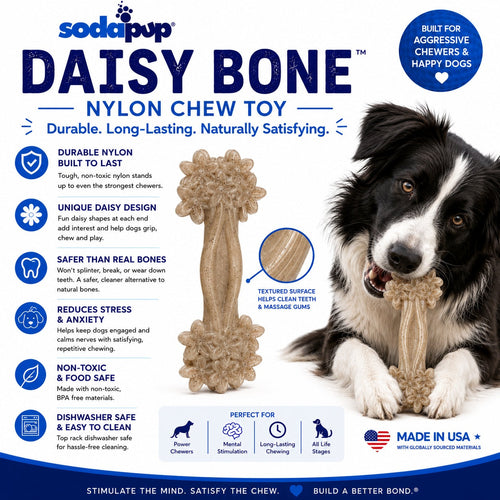Daisy Bone Nylon Dog Toy for Aggressive Chewers | Durable | USA Made