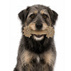 Daisy Bone Nylon Dog Toy for Aggressive Chewers | Durable | USA Made