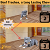 Beef Trachea for Dogs, 8 - 6 Inch Pieces