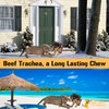 Beef Trachea Dog Treats - 1 lb. (3-4 pieces)