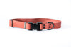 Sport Style Leather Dog Collar