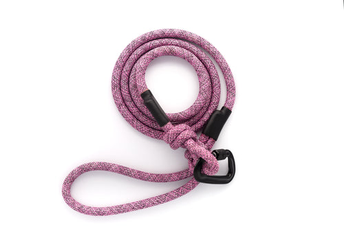 Climbing Rope Dog Leash