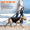 [LIFETIME WARRANTY!] NeoAlly 5-in-1 Sturdy Dog Lift Harness Full Body Support