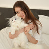 Minuet Cat Backpack- Companion Cat Wearable Fashion