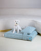 Memory Foam Dog Bed