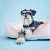 Velvet Dog Bed Dreamer