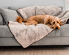 PupProtector™ Summer Short Fur Waterproof Throw Blanket - Grey