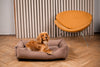 Corduroy Dog Bed Dreamer