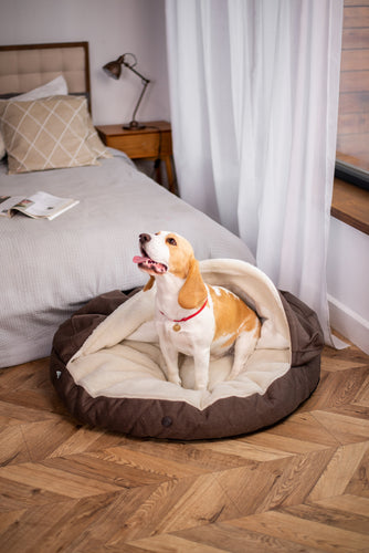Cover Dog Bed
