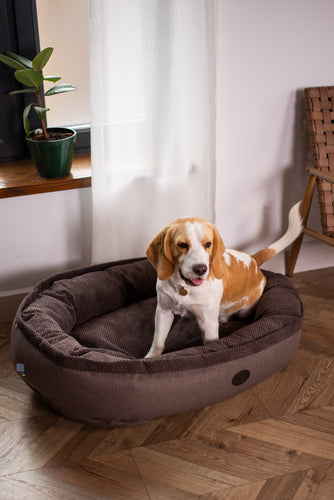 Chester & Lee | Cuddly Bagel Dog Bed