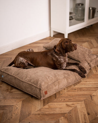 Memory Foam Dog Bed