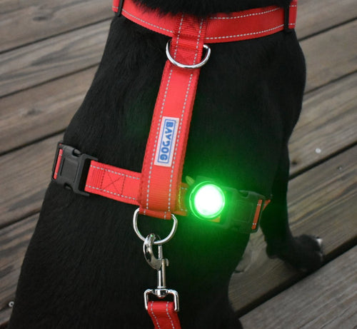 BayDog Firefly LED Safety Light