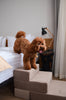 Bed Stairs for Pets - Tetris
