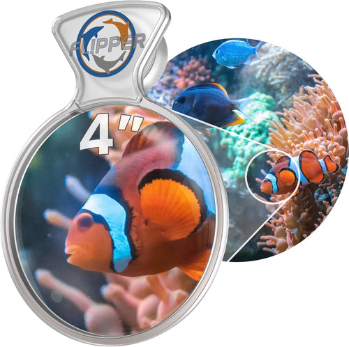 DeepSee Viewer Clear 4