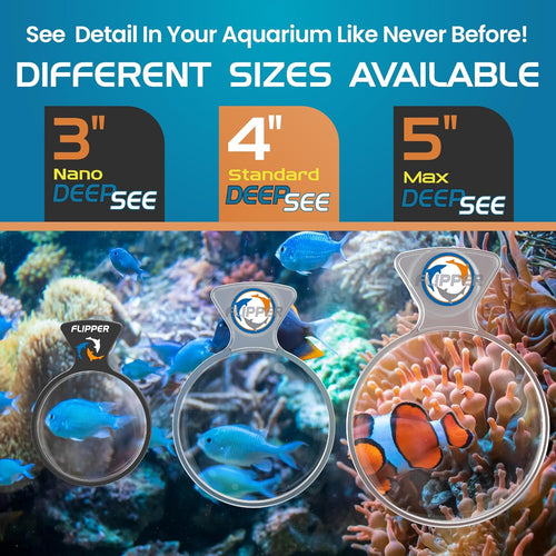 DeepSee Viewer Clear 4