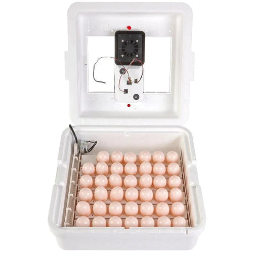 Deluxe Air Egg Incubator Little Giant 11300 with Egg Turner & Fan Kit