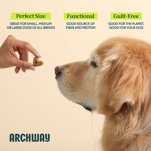 Digestive Health