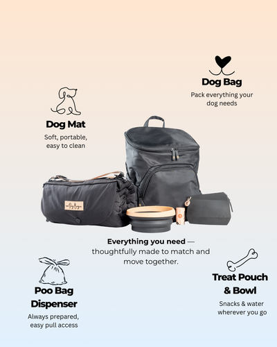 The Dog Bag™ Adventure Bundle