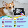 Multivitamin for Dogs & Cats. Prenatal Vitamins. 60 Tabs